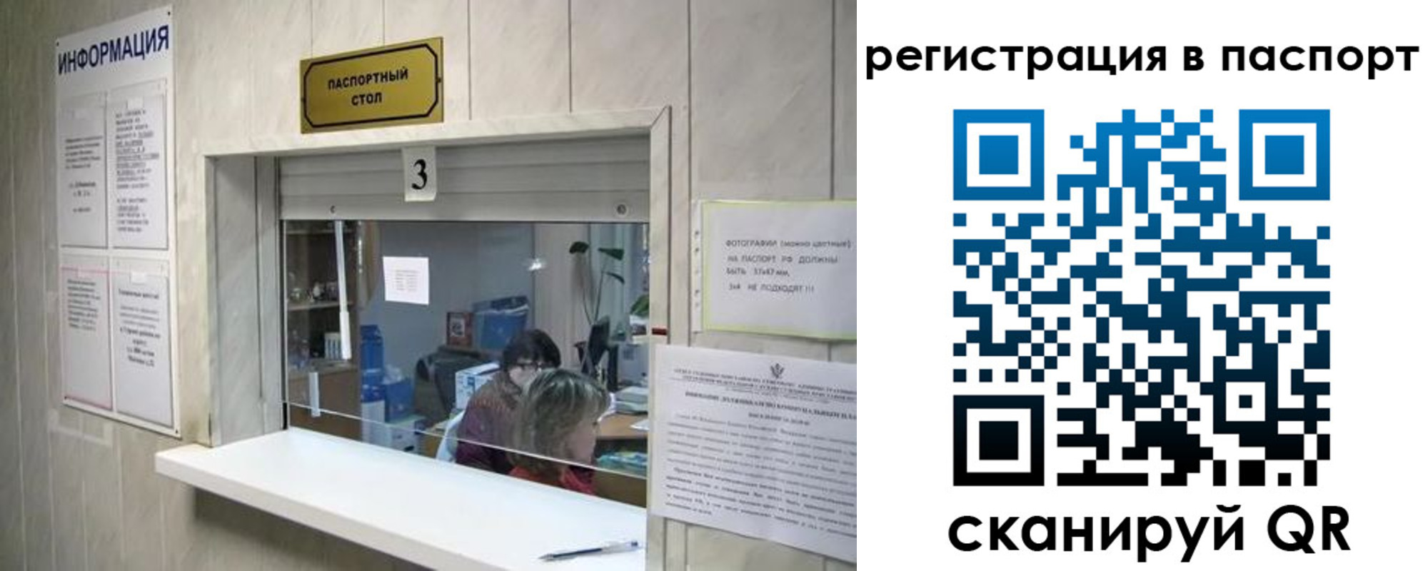 прописка поиск в Черноголовке